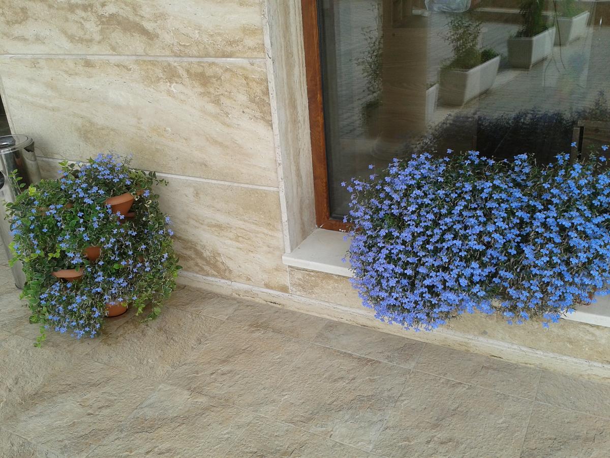 Hotel Seasons 3 Σάνι Μπιτς Εξωτερικό φωτογραφία