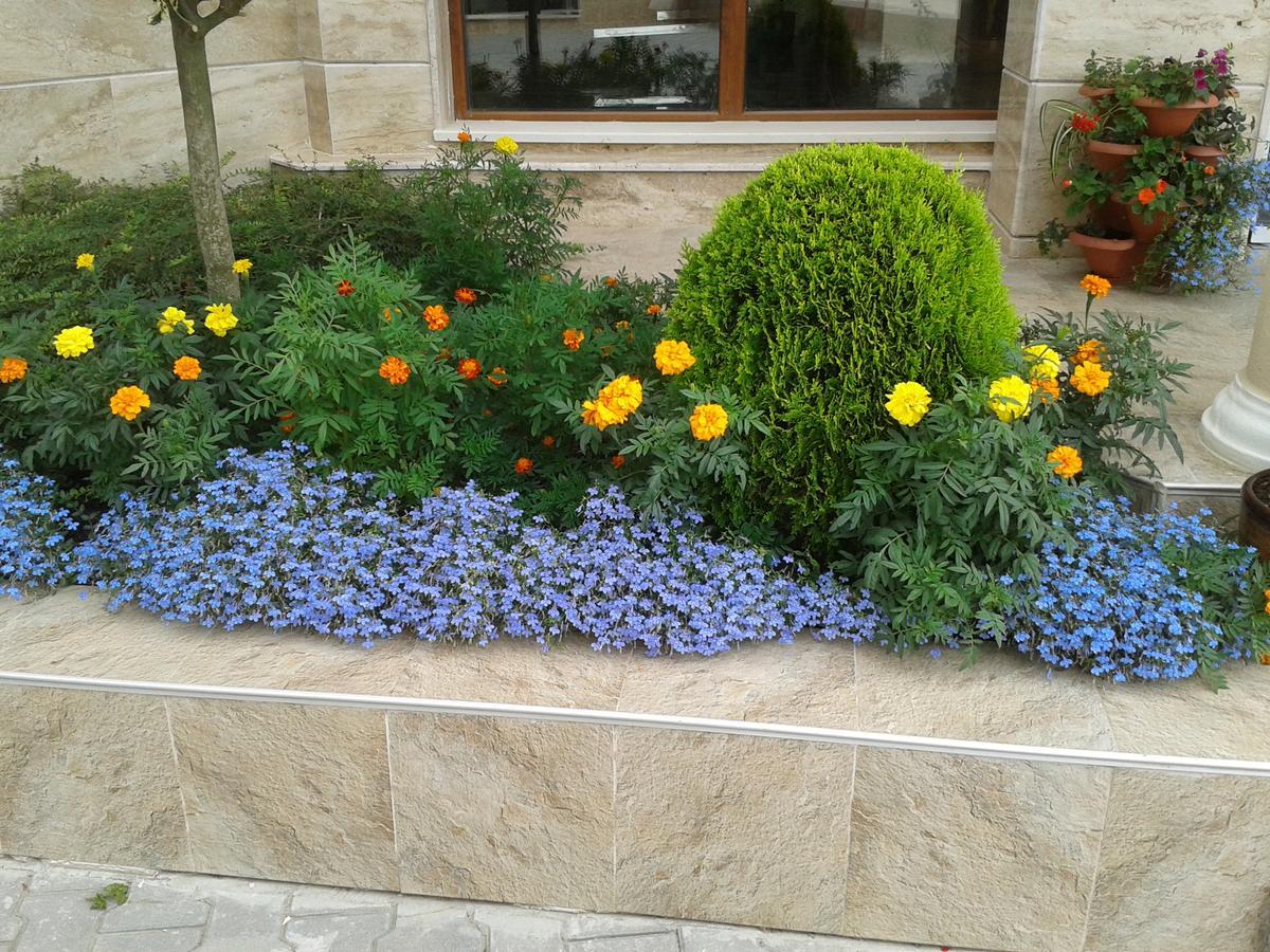 Hotel Seasons 3 Σάνι Μπιτς Εξωτερικό φωτογραφία